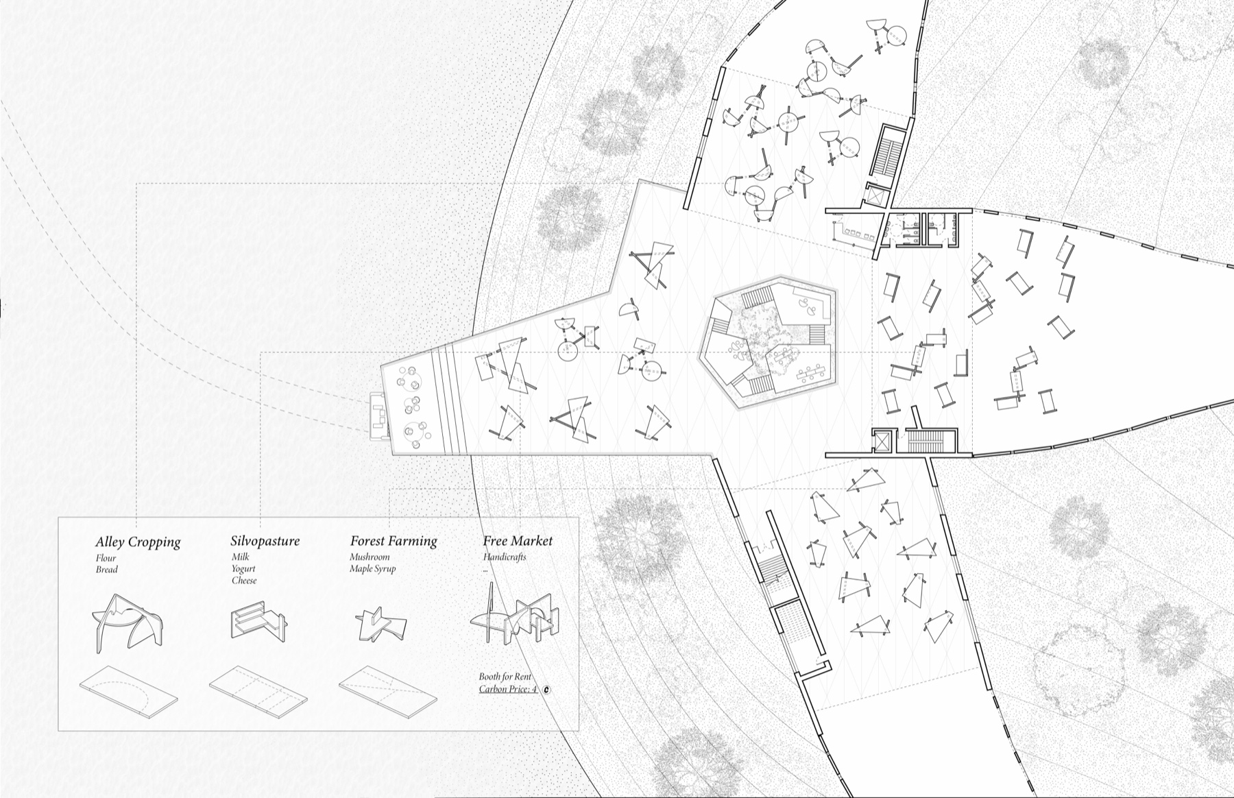 The Carbon Island - Reception and Carbon Market Plan