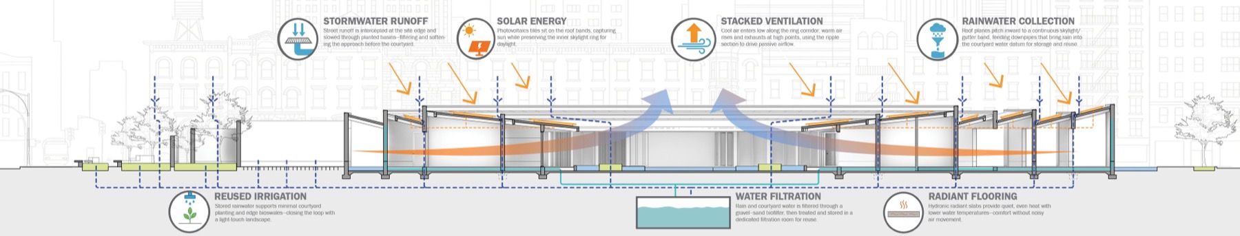 The Ripple - Sustainability Diagram