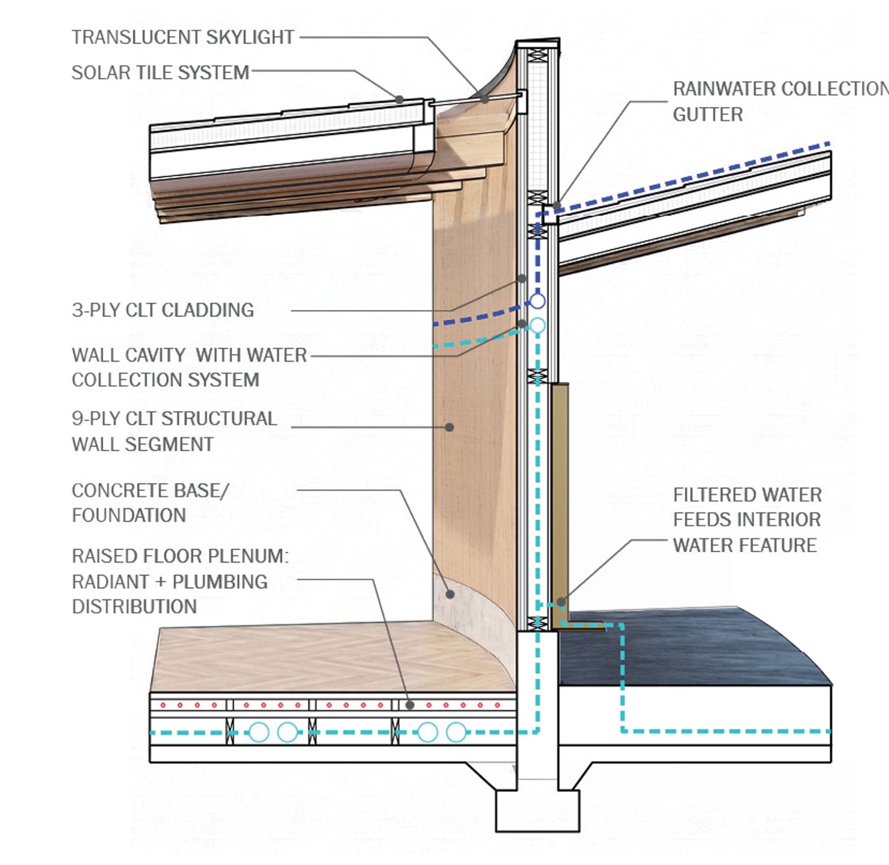 The Ripple - Wall Section